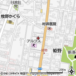 富山県高岡市姫野502-1周辺の地図