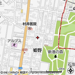 富山県高岡市姫野306-4周辺の地図
