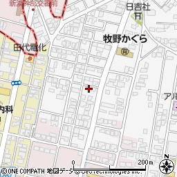 富山県高岡市姫野43-9周辺の地図