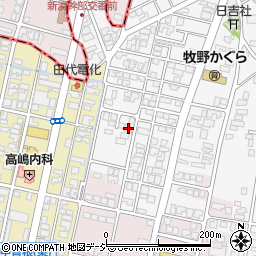 富山県高岡市姫野919-13周辺の地図