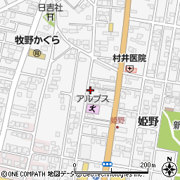 富山県高岡市姫野502周辺の地図