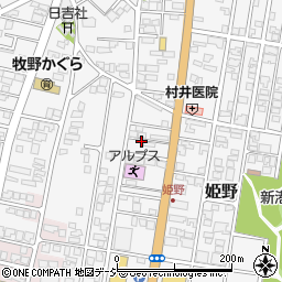 富山県高岡市姫野502-3周辺の地図