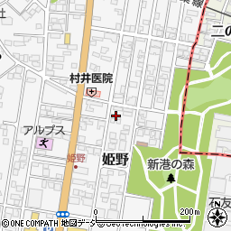 富山県高岡市姫野306-3周辺の地図