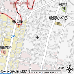 富山県高岡市姫野43-4周辺の地図