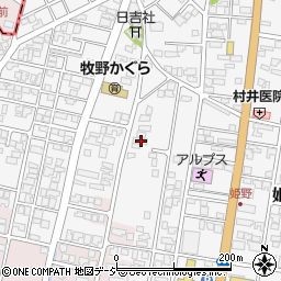 富山県高岡市姫野137-3周辺の地図