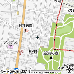 富山県高岡市姫野305-4周辺の地図