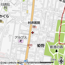 富山県高岡市姫野303-28周辺の地図