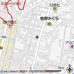 富山県高岡市姫野44-1周辺の地図