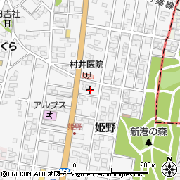 富山県高岡市姫野304周辺の地図