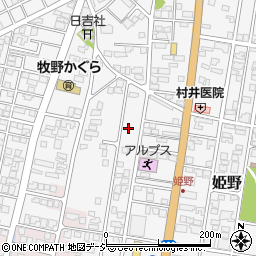 富山県高岡市姫野477-8周辺の地図