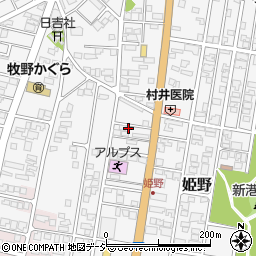 富山県高岡市姫野500周辺の地図