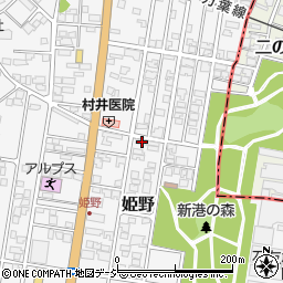富山県高岡市姫野305周辺の地図