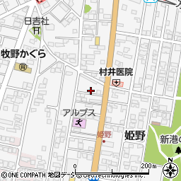 富山県高岡市姫野499-5周辺の地図