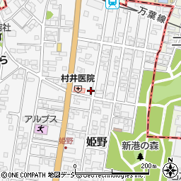 富山県高岡市姫野401-1周辺の地図