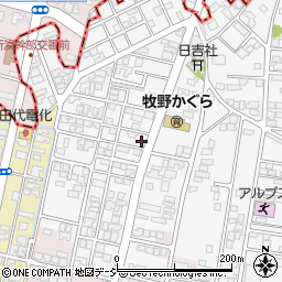 富山県高岡市姫野48-4周辺の地図
