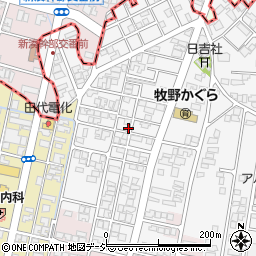富山県高岡市姫野48-10周辺の地図