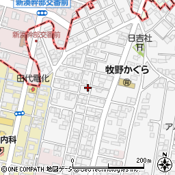富山県高岡市姫野49-4周辺の地図