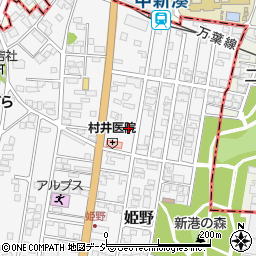 富山県高岡市姫野399周辺の地図