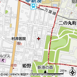 富山県高岡市姫野358-5周辺の地図