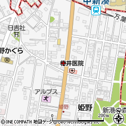 富山県高岡市姫野402-4周辺の地図