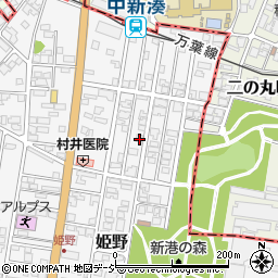 富山県高岡市姫野365-6周辺の地図