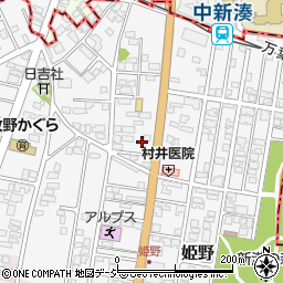 富山県高岡市姫野403-2周辺の地図