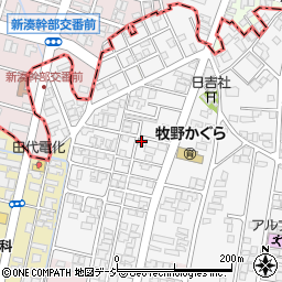 富山県高岡市姫野52-9周辺の地図