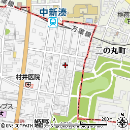 富山県高岡市姫野356-1周辺の地図