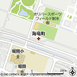 富山県射水市海竜町周辺の地図