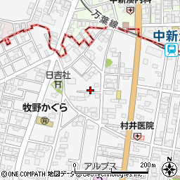 富山県高岡市姫野463周辺の地図
