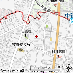 富山県高岡市姫野463-5周辺の地図