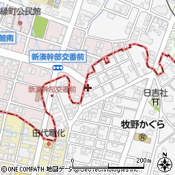 富山県高岡市姫野890-11周辺の地図