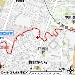 富山県高岡市姫野879-10周辺の地図
