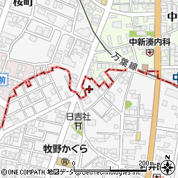 富山県高岡市姫野842-2周辺の地図