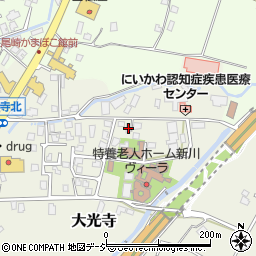 富山県魚津市大光寺303周辺の地図