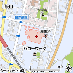 長野県飯山市飯山新町226周辺の地図