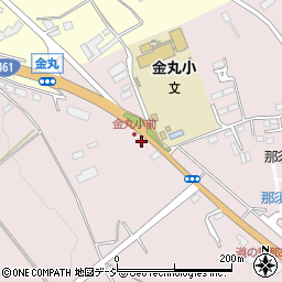 栃木県大田原市南金丸1618-8周辺の地図