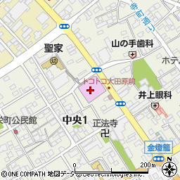 トコトコ大田原総合案内周辺の地図