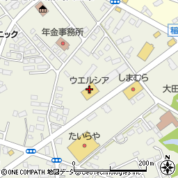 ウエルシア薬局大田原本町店周辺の地図
