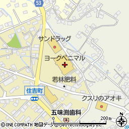 栃木銀行ヨークベニマル大田原住吉店 ＡＴＭ周辺の地図