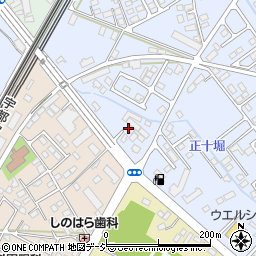 遠藤犬猫病院周辺の地図