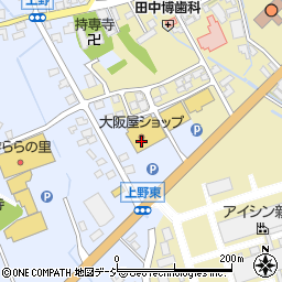 ヤングドライグループ　ヤングドライ大阪屋入善店周辺の地図