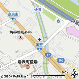 株式会社湯沢リゾート　不動産周辺の地図