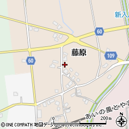 〒939-0612 富山県下新川郡入善町藤原の地図