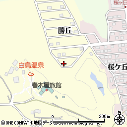 福島県いわき市常磐白鳥町勝丘120-20周辺の地図