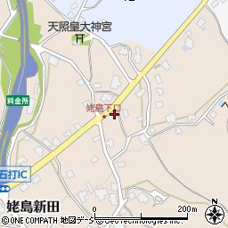 新潟県南魚沼市姥島新田253周辺の地図