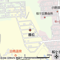 株式会社泰神周辺の地図