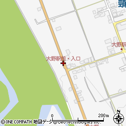 大野駅前・入口周辺の地図