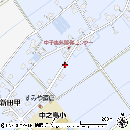新潟県南魚沼市中子新田甲周辺の地図
