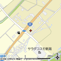 セブンイレブン中越塩沢中央店周辺の地図